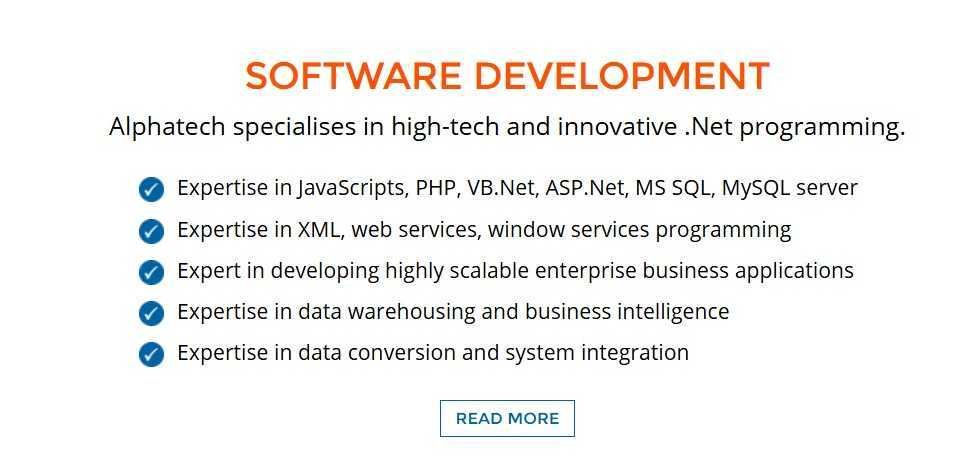 Alphatech Software Development service overview